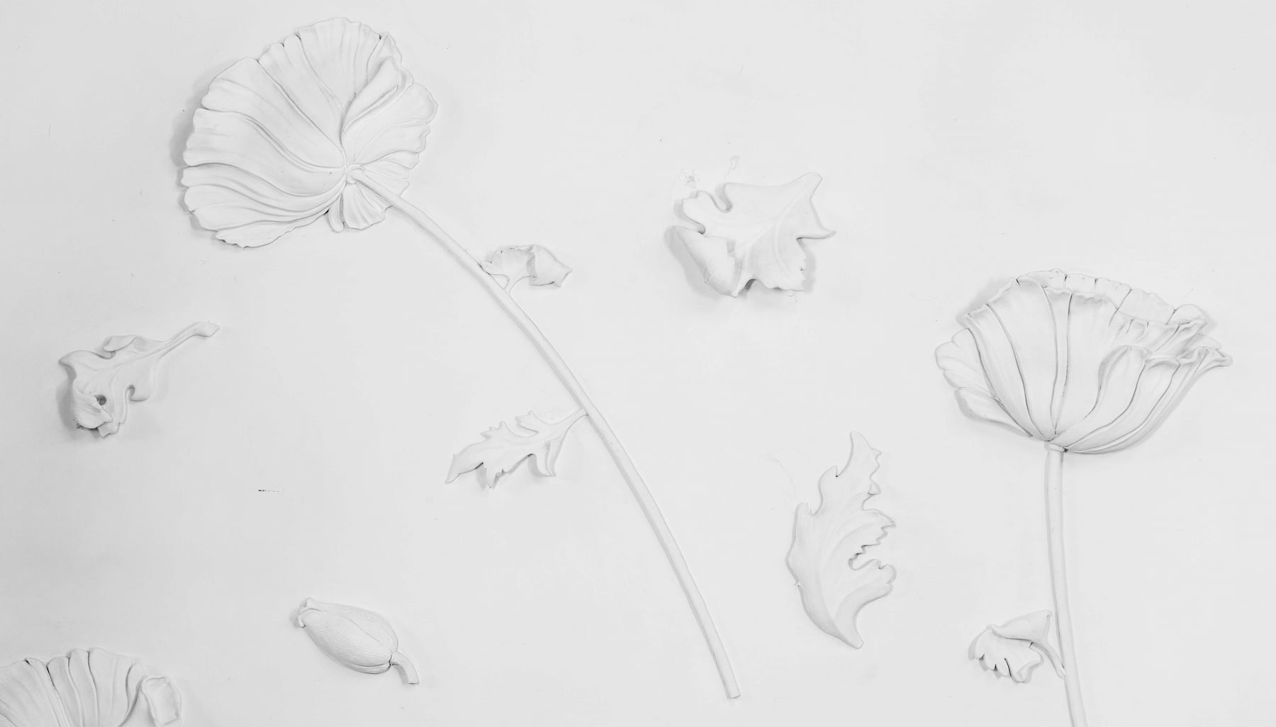 Boschetto international